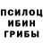 Галлюциногенные грибы мухоморы Andrey Bobnev