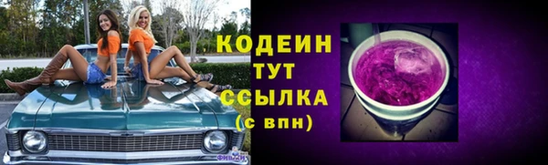 молекула духа Бородино