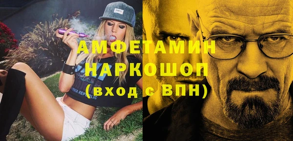 молекула духа Бородино