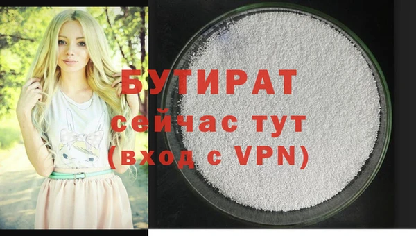 индика Богородск
