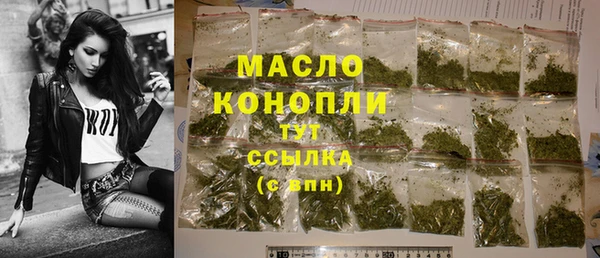 молекула духа Бородино
