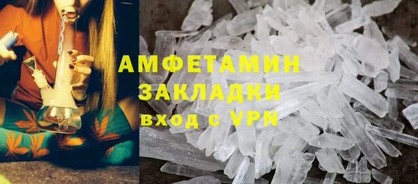 молекула духа Бородино