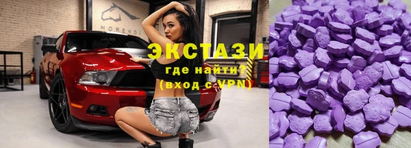 молекула духа Бородино