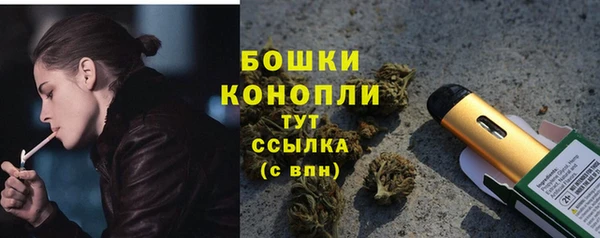 молекула духа Бородино