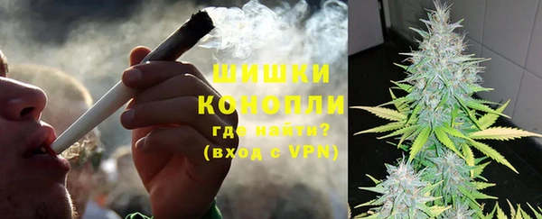 молекула духа Бородино