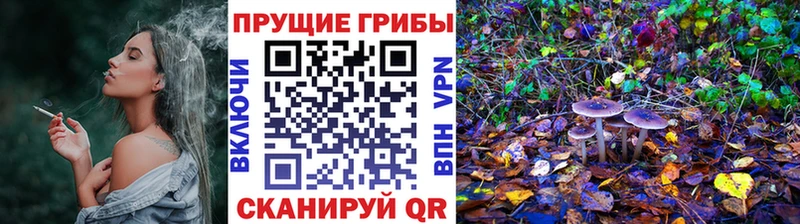 Псилоцибиновые грибы мухоморы  Канск 